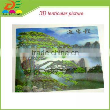 custom design europe feature holiday decoration&gift PET 3d flip picture