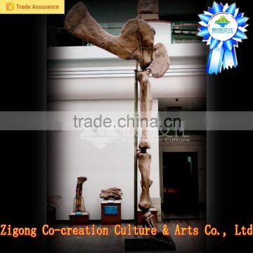 Dino Park Outdoor Museum Adventure photo-6