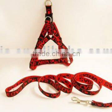 dog leash and harness set