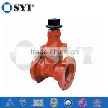 ANSI Resilient Seated Gate Valve