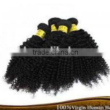 Top Quality Afro Kinky Curly Braiding Hair for Black Women