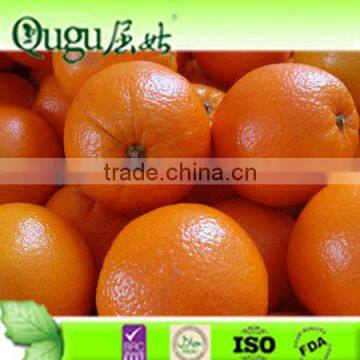 Navel orange