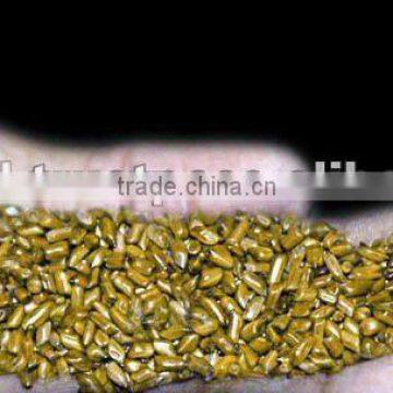 Cassia Nomame Extract