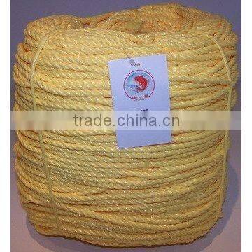 PP ROPE