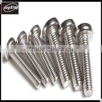 China Screw Manufacturer Fabrication Standard and Customized Special Screws