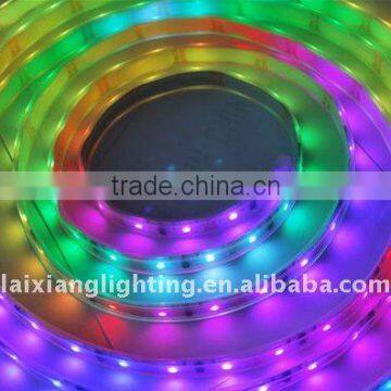 China factory LED wall decoration light,LED rope light