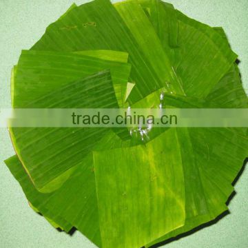 FRESH BANANA LEAF