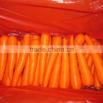 New crop fresh carrot 10kg carton