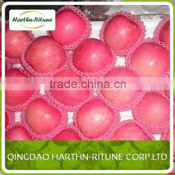 fresh fruit import red fuji apple from china