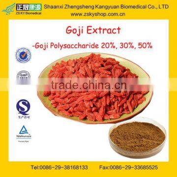 GMP Certified Factory Supply High Quality 10%-50% Wolfberry Extract