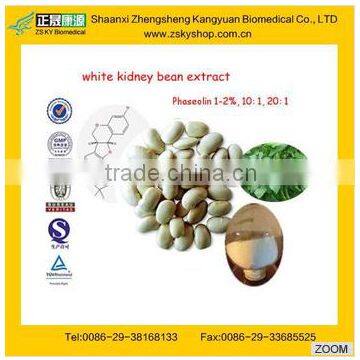 GMP manufacturer supply Natural White Kidney Bean extract powder