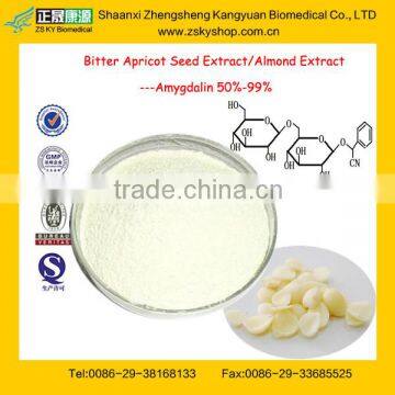 GMP Certified Factory, Natural Apricot Extract Amygdalin 98%