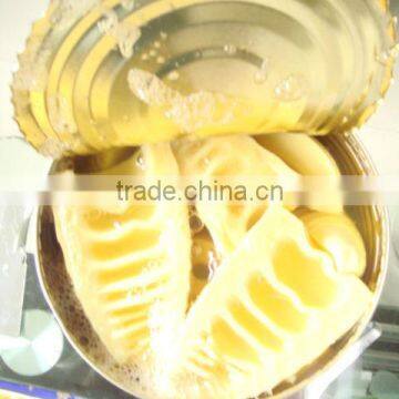 Good Quality Canned Food Bamboo Shoots Manufacturer