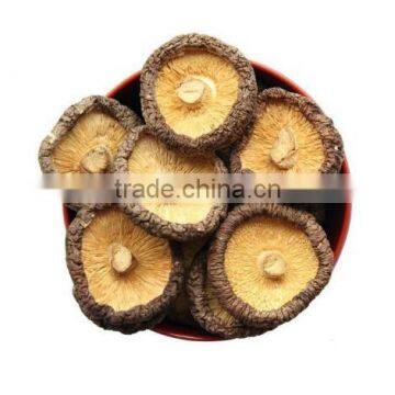 Dried smoth shiitake mushroom