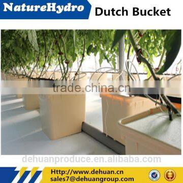 Top Dutch Bucket For Greenhouse And Hydroponics