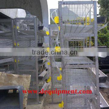 800USD coupon good quality factory quail cage H type 5 tier quail cage