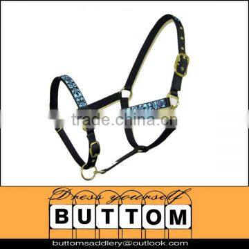 Horse halter PP horse halter patterned horse halter with alloy fitting