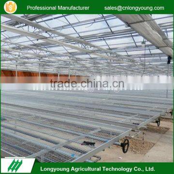 Eco-friendly greenhouse planting seedbed galvanized rolling bench