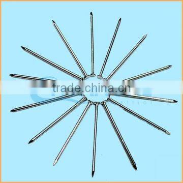 Manufacture High Quality Low Price Iron Nail for Hanging Pictures photo-5