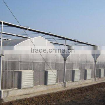BLD Large Multi-span Plastic Film Greenhouse Commercial Use photo-5