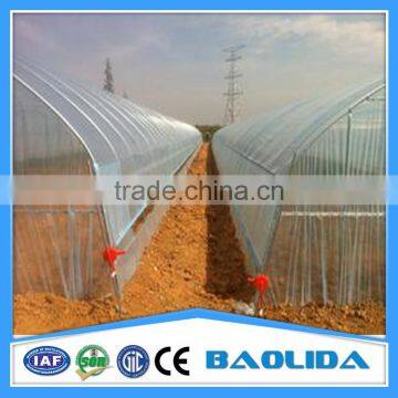 Agriculture Tunnel Plastic Commercial Greenhouse photo-2