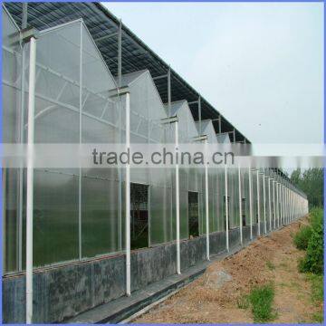 Modern Greenhouse for Agriculture photo-4