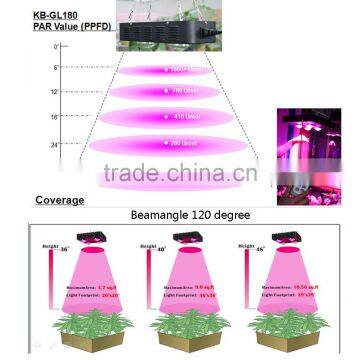 Professional Manufacturer 180W High Power Led Grow Light for Medical Plants Hydroponic System COB Led Grow Light photo-2