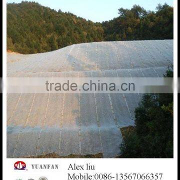 Width is Greater Than 2 Metres Non-woven Fabric Used for Agriculture Covering photo-2