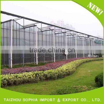 Made in China superior quality Anti-UV plastic film