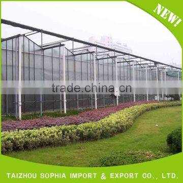 2016 High Quality Popular pe Protective Film Greenhouse photo-2