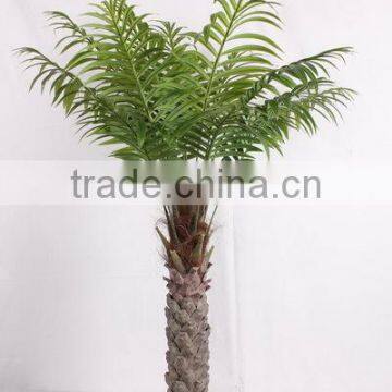 SJ2001205 Home Indoor Using Cocount Plam Tree Factory Outlet photo-2