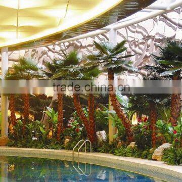 2017 Artificial Coconut Palm Tree for Hotel Beach Landscape photo-4