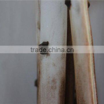 Artificial Flowers Wholesale Wholes EVA Flowers Foam Plants photo-3