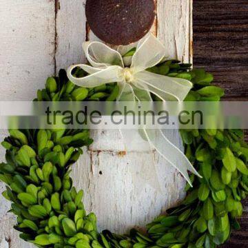 8'' Preserved Boxwood Wreath Wholesale photo-5