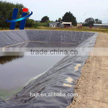 Hotsale Low Price Fish Pond HDPE Geomembrane Liner(ASTM) photo-3
