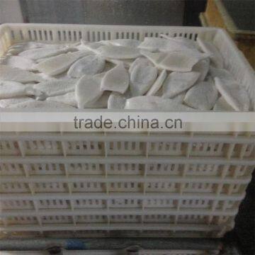 IQF U5 Pacific Squid Tube photo-5