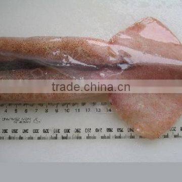 frozen wholesale squid tube u5 u7 u10