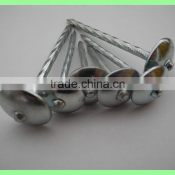 Hot sale umbrella roofing nails supplies