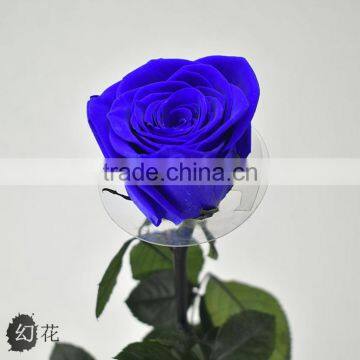 Wholesale Beautiful Real Natural Preserved Flower Preserved Rose With Stem photo-2