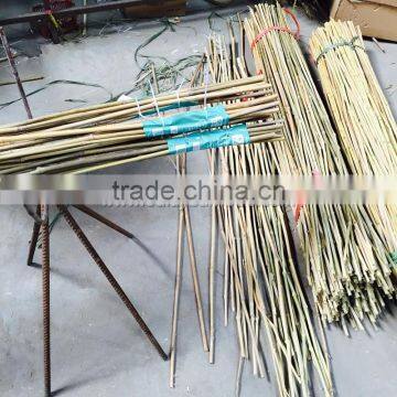 Excellent Quality Factory Price Garden Bamboo Canes for Sale photo-5