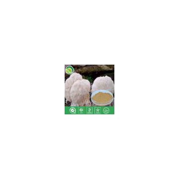 Hericium Erinaceus Powder