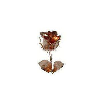 Natural Rose Bud