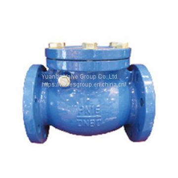 DIN Swing Check Valve