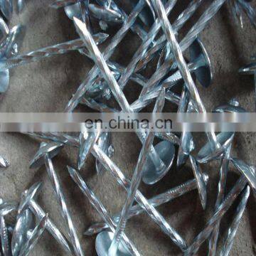 Roofing Nail Type and Steel Material umbrella roofing nails