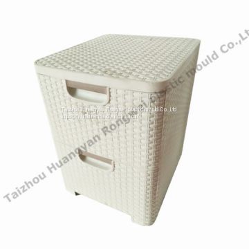 High precision custom injection plastic wardrobe mould