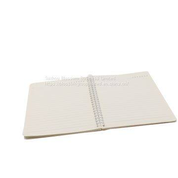 Wholesale Cheap Spiral School Notebook photo-3