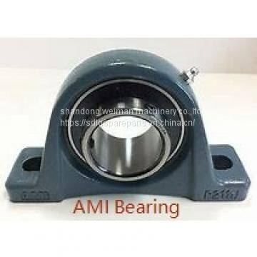 AMI Bearings