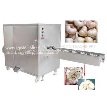 Semi-auto Garlic Bulb Root Concave Cutting Machine photo-2