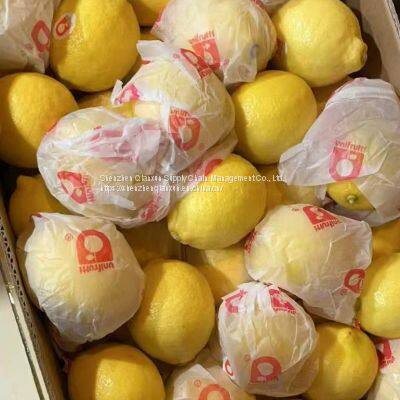 Mango & Lemon photo-2