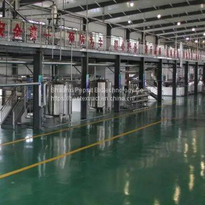 Echinacea Purpurea photo-2